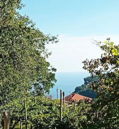 La Casetta Di Nonna Olga-chalet Dağ evi *